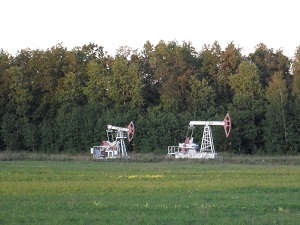 NSR 