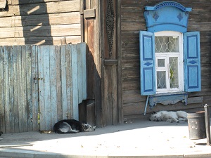 NSR: ����� ��������